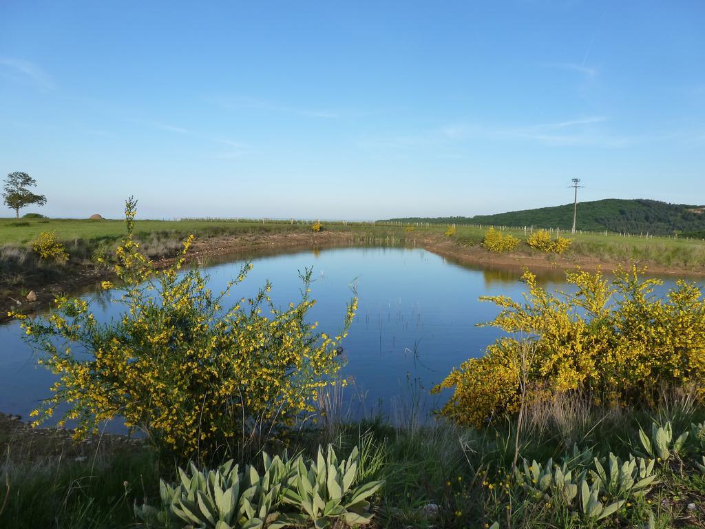 Domaine Joseph Lafarge Wine Resort Oeno-Tonneaux Experience Lugny Zewnętrze zdjęcie